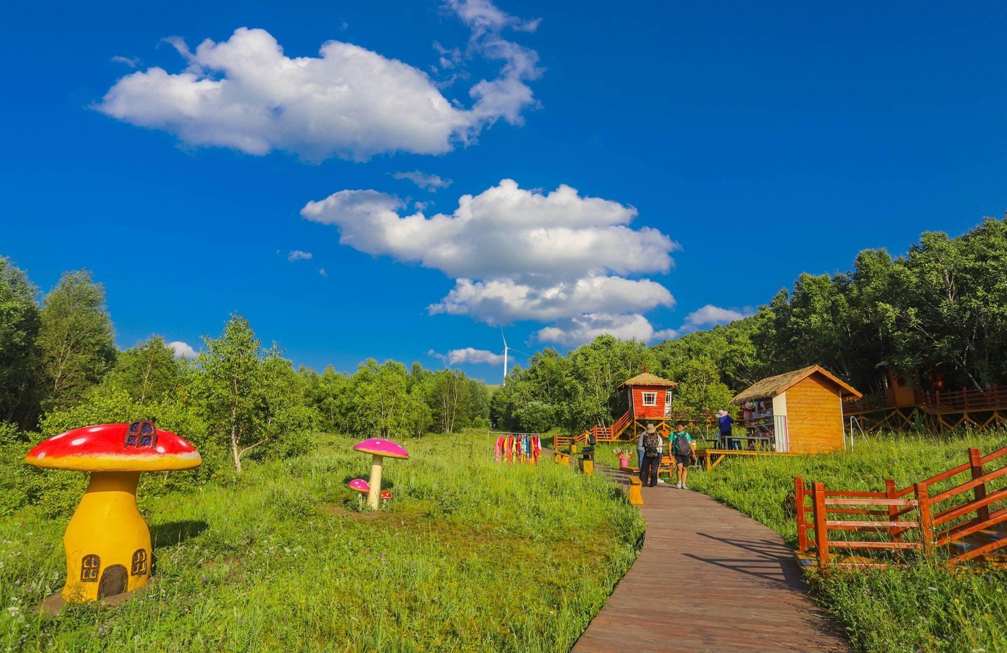 坝上草原看风景,七彩森林采蘑菇,丰富多彩的体验