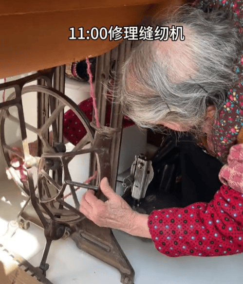 “從雞打鳴干到狗睡覺”，90歲高能量老奶卷翻年輕人