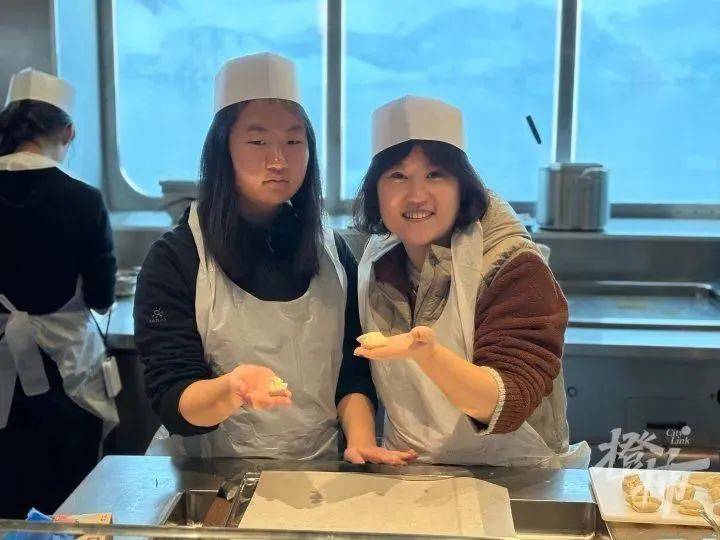 数百中国人因天气滞留南极，游客李女士：后来飞机撞鸟又滞留纽约机场