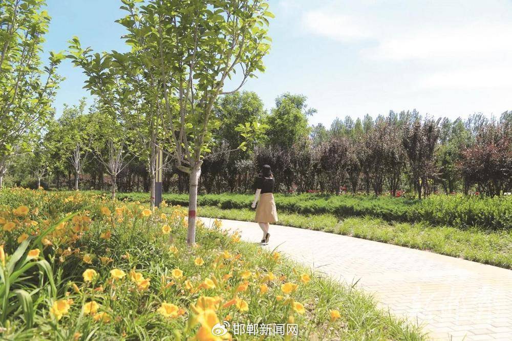 美在邯郸|肥乡区东风渠: 幸福河湖水润肥乡