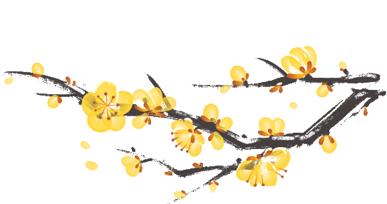 腊梅盛开满枝头,梅花绽放美如诗画!恭喜