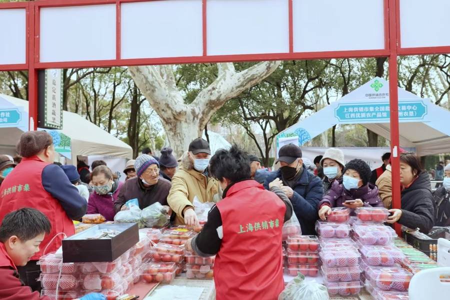 丰富家门口消费场景，蛇年首场供销市集走进鲁迅公园