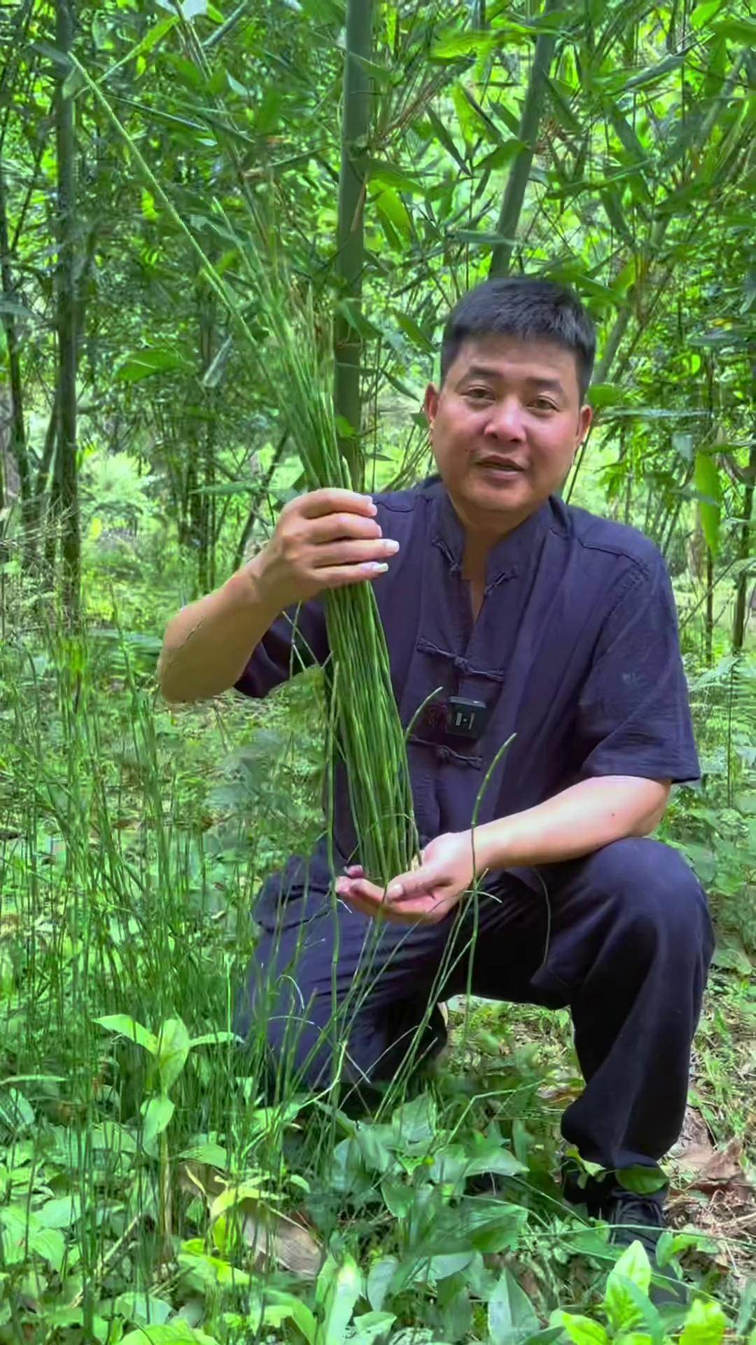 学名;木贼,别名接骨草,笔筒草,小时候经常采着玩长大后才知道它是中