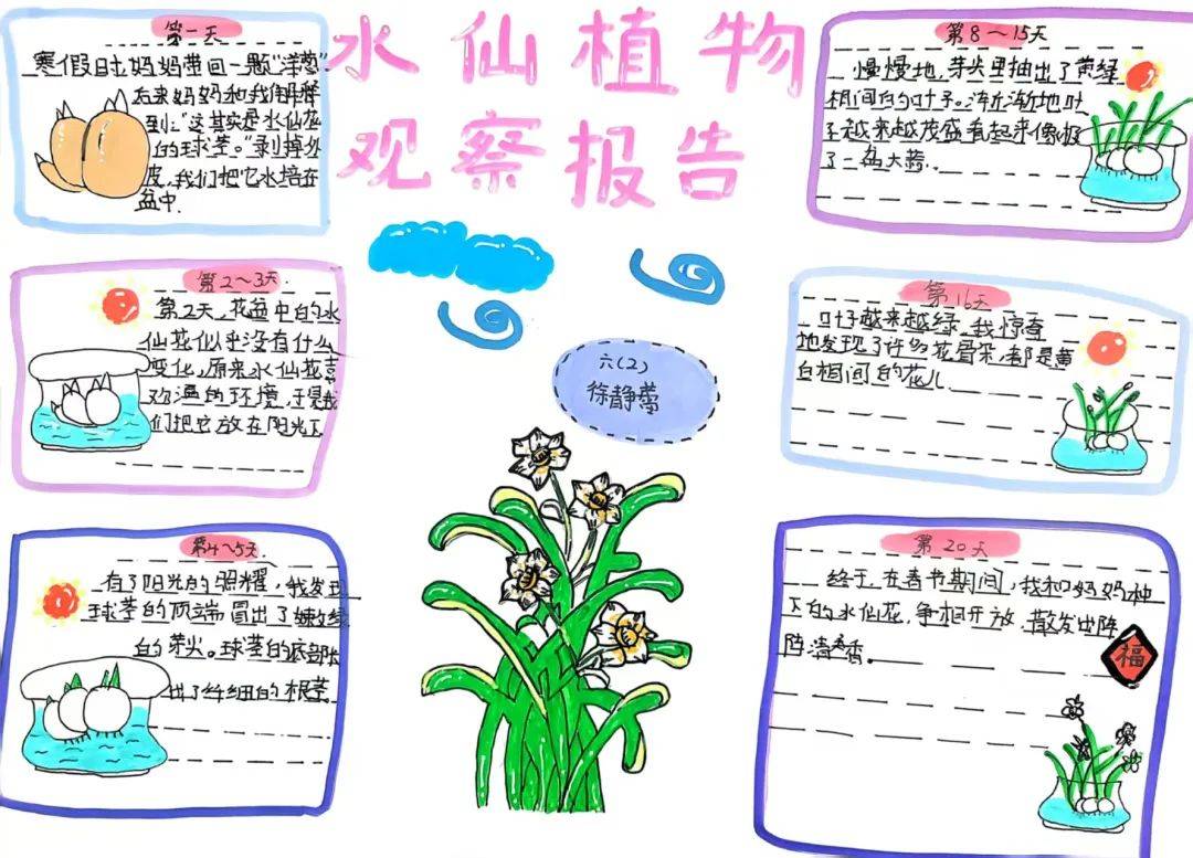 劳动点亮童年 实践收获成长