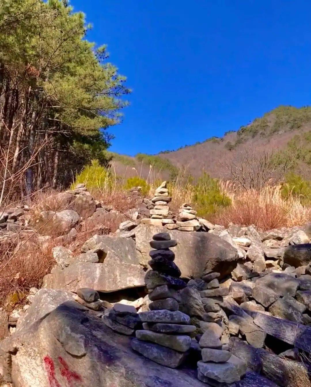 【大别山最高峰】