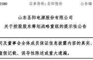 圣阳股份控股股东筹划战略重组，董事长李伟曾任鲁银投资多个职位