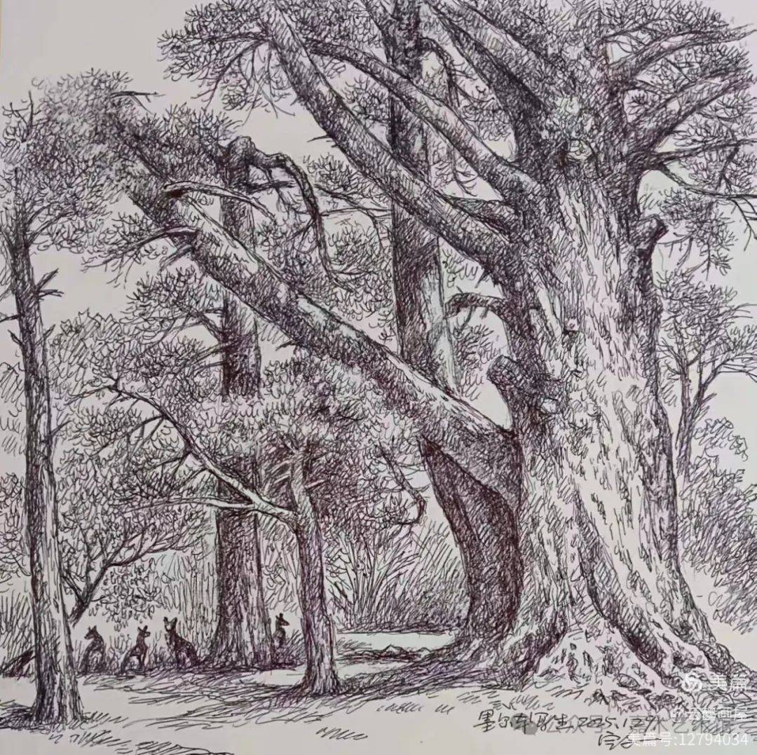 旅澳画家蒋定文先生钢笔画写生