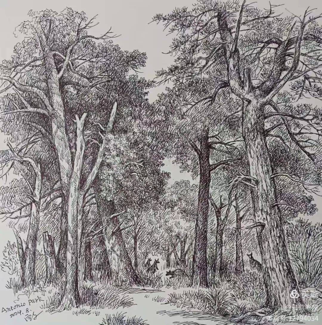 旅澳画家蒋定文先生钢笔画写生