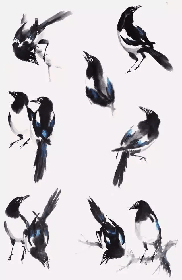 简单几步,三种最常见鸟的写意画法