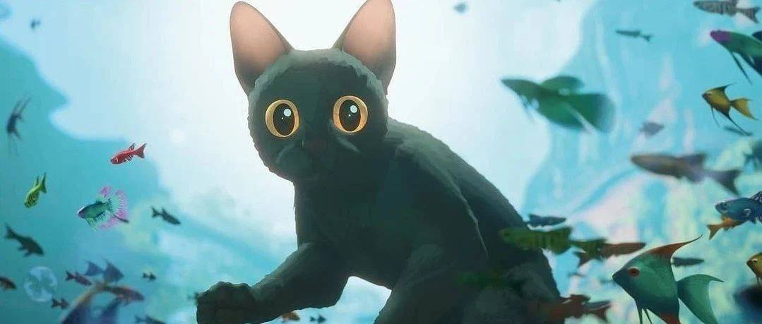 高分口碑动画《猫猫的奇幻漂流》相约影院一起“猫”险!_电影_影片_角色