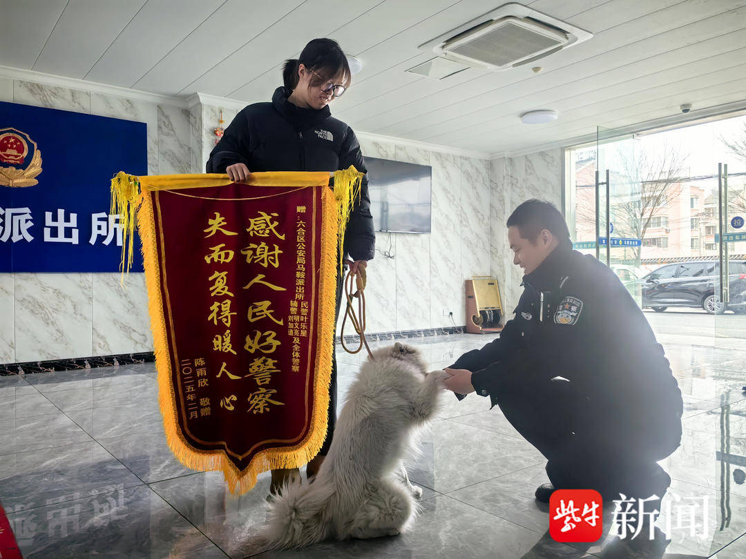 视频 ▏“社牛”萨摩耶四处搭车“求带走” 民警4小时追回（萨摩耶 p2p）