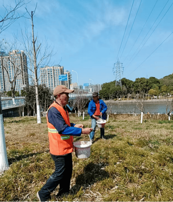 城市文凤凰联盟下载明建设再出发再提升（3337）(图2)