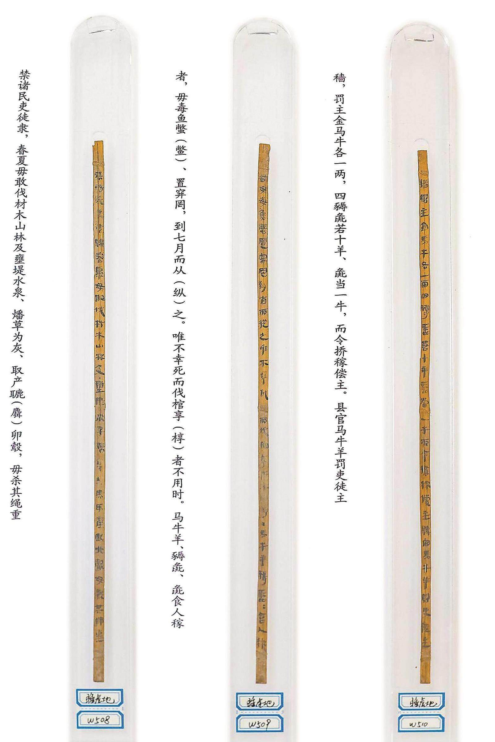 五省党报联动