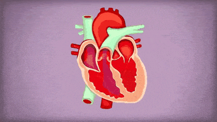 444_250gif 动态图 动图