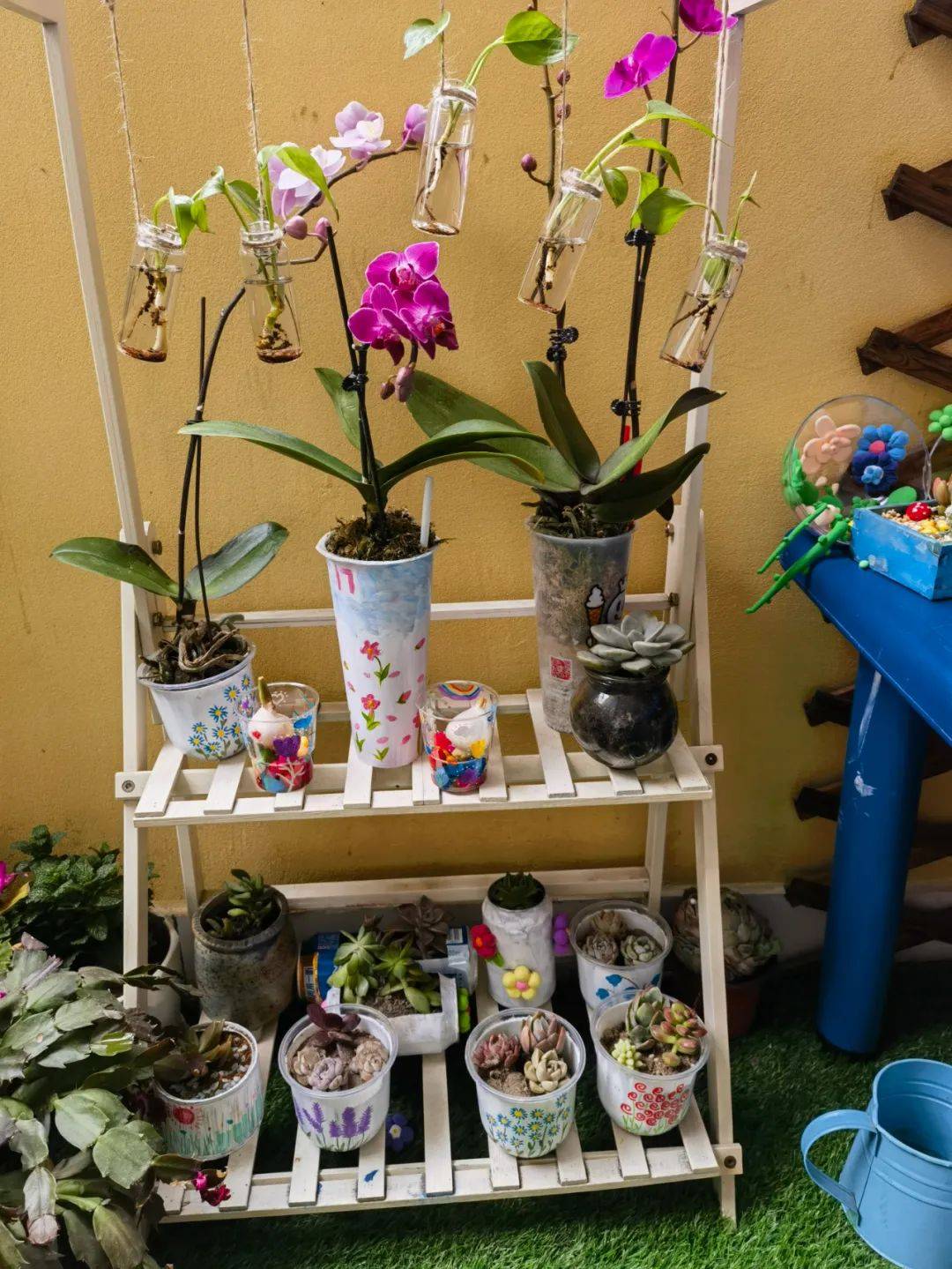 彭山区机关幼儿园开展植树节主题活动暨亲子盆栽展评