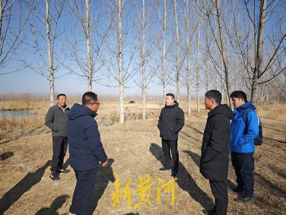 潍坊诸城石桥子镇:人大代表助力,绘就乡村"春耕图"