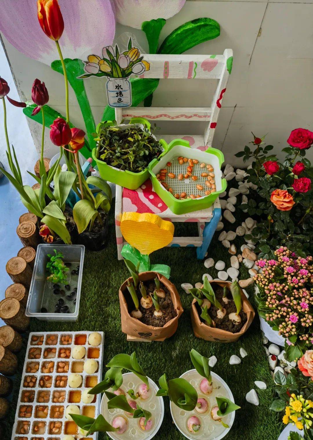 彭山区机关幼儿园开展植树节主题活动暨亲子盆栽展评
