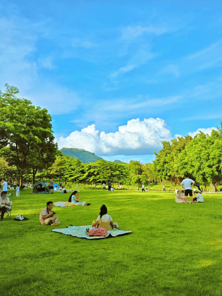 春天,去公园野餐才是头等大事!