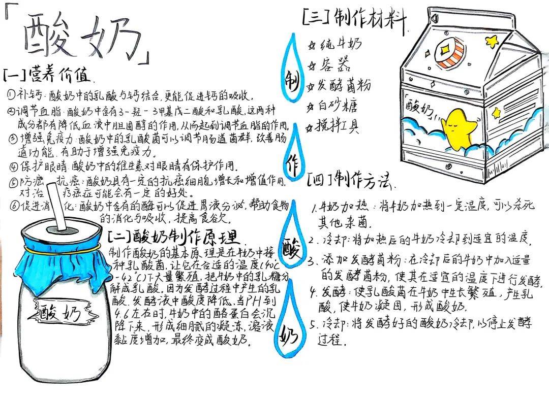 并将其制作原理与步骤绘制成一幅幅精美的手抄报