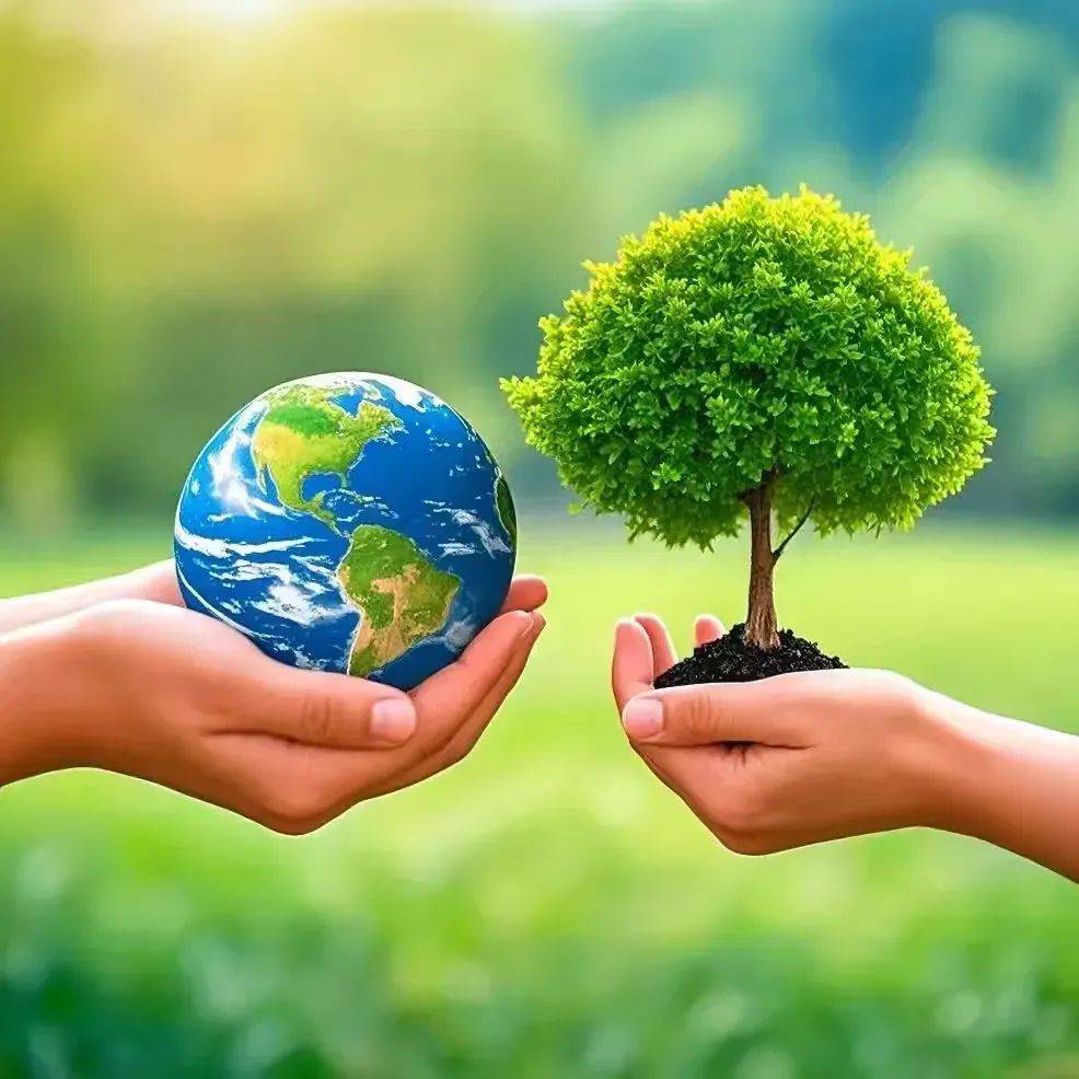 元宝山小学开展植树节系列活动