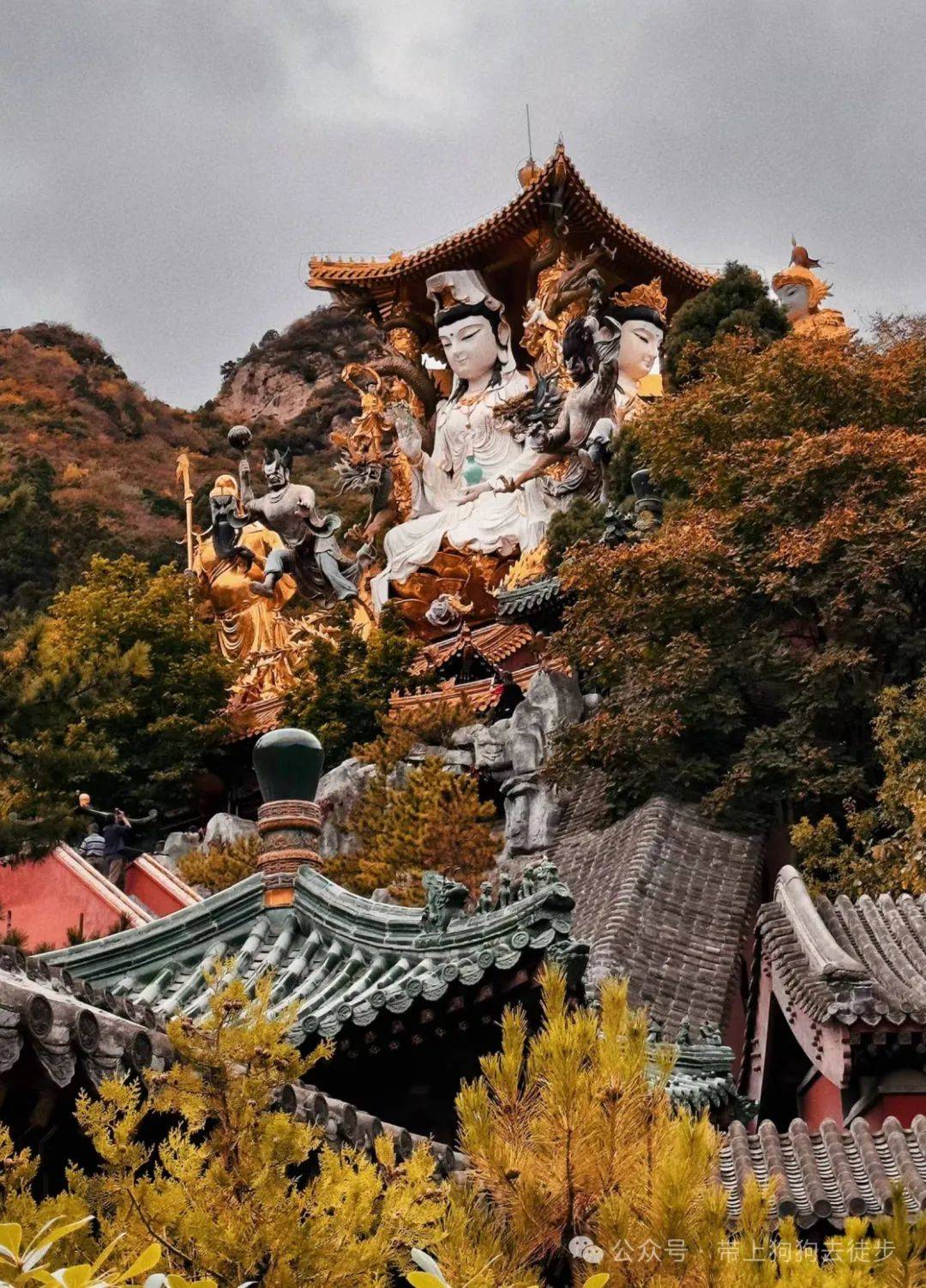 白瀑寺 龙