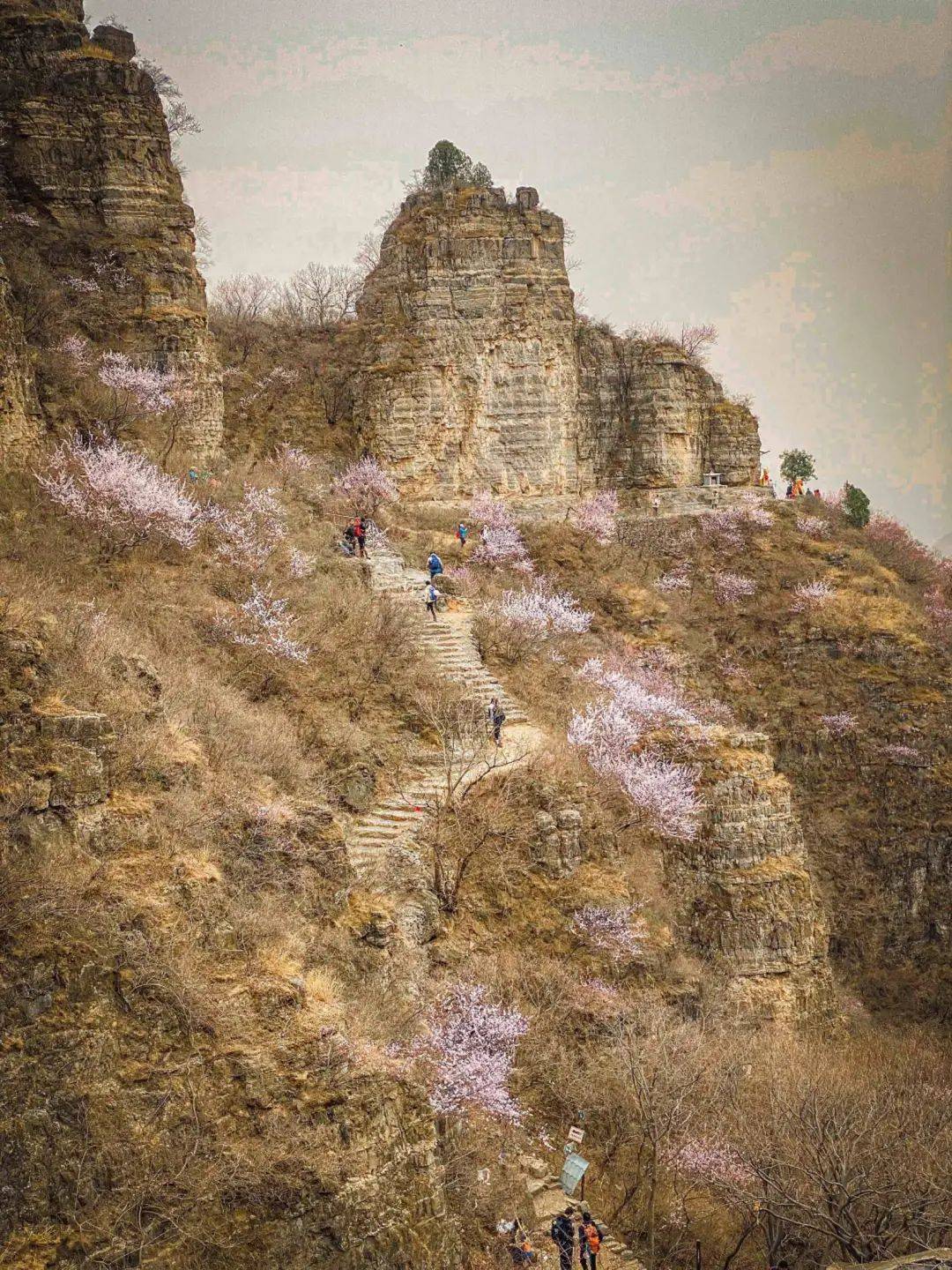 蚕姑坨位于易县西山北乡沙岭村西的蚕姑坨在这里狼牙山东麓一改其险