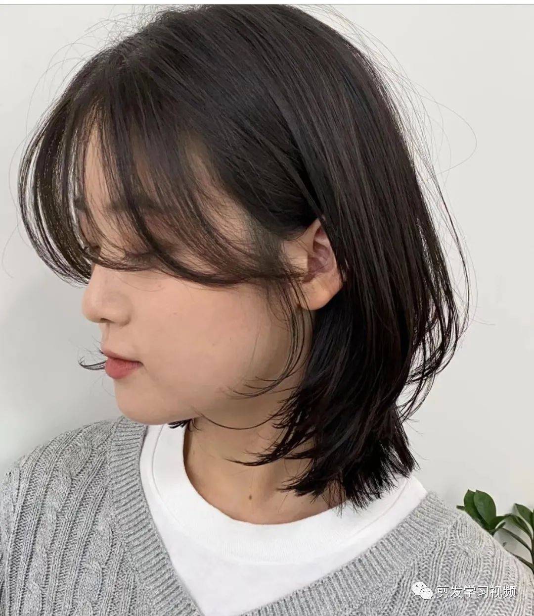 发型_中国_人类