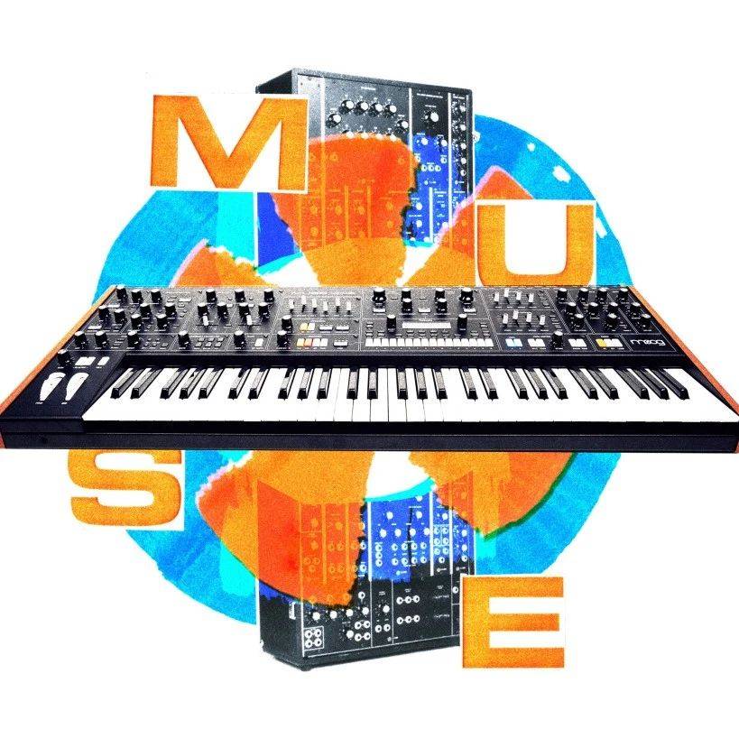 Mogue Module Moog Muse 合成器保姆级教程来啦:介绍各模块的功能特性_调制_振荡器_滤波器