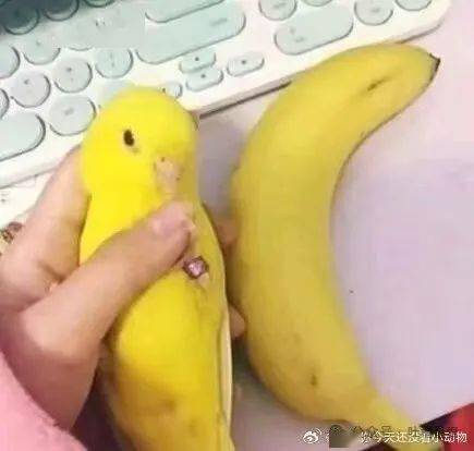生活趣事大集合，哪张图能戳中你笑点？，高干文看多竟有这种感受？这些趣事别错过
