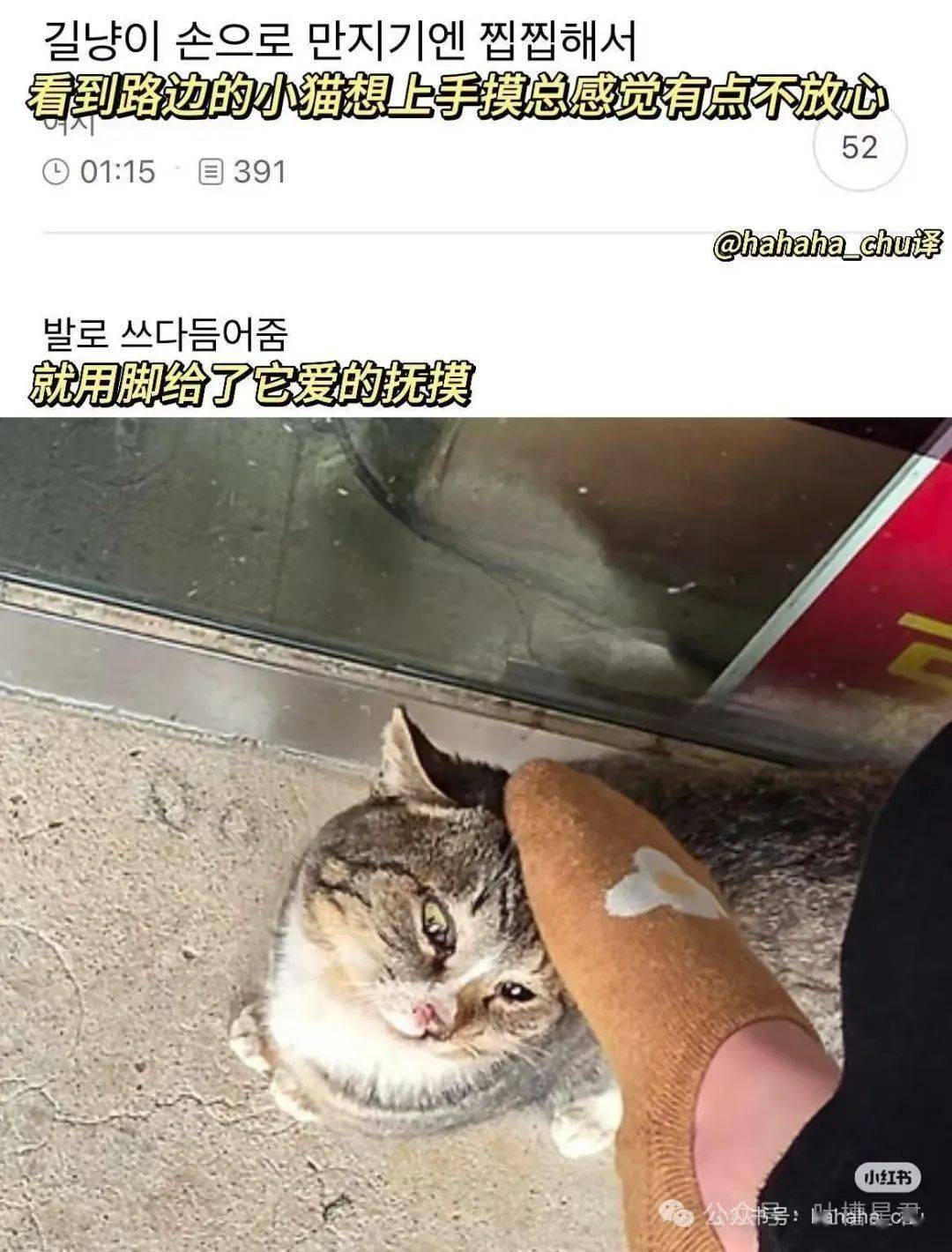生活趣事大集合，哪张图能戳中你笑点？，高干文看多竟有这种感受？这些趣事别错过