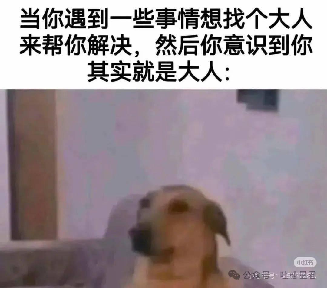 生活趣事大集合，哪张图能戳中你笑点？，高干文看多竟有这种感受？这些趣事别错过