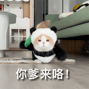 搞怪表情包,笑出你的独特个性!