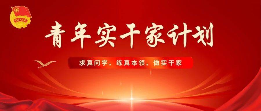团聚西岸 青春砺剑 | 河西区“青年实干家计划”风采展示_工作_实习_教育