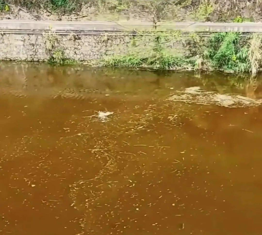 湖南慈利县一河流颜色异常，当地通报