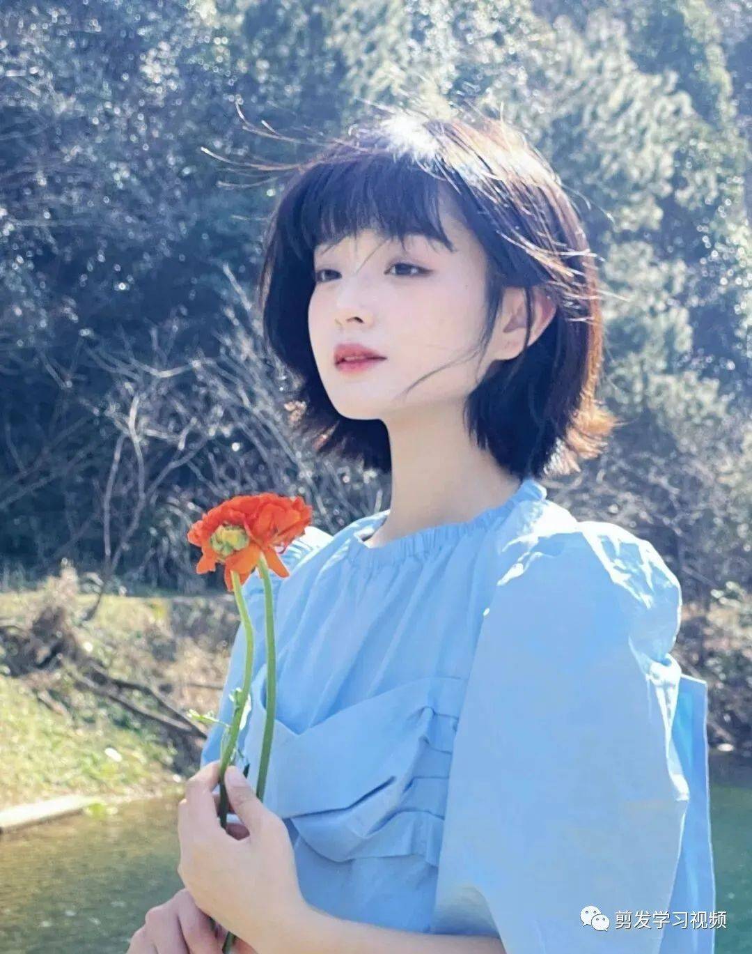 乖乖女短发好减龄