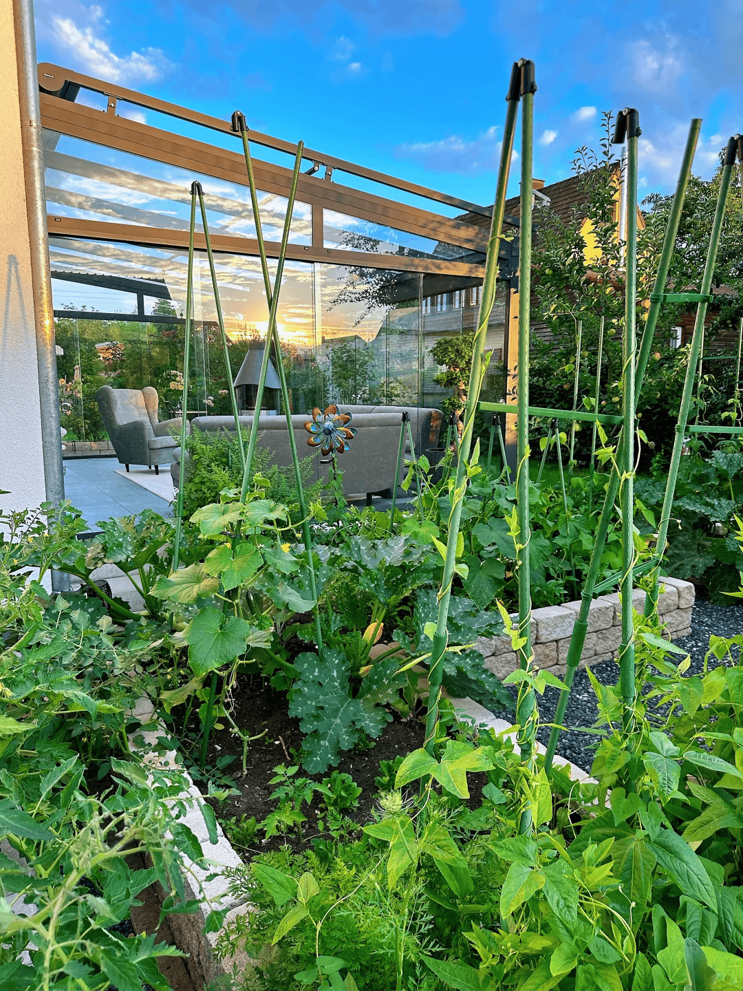 花园的尽头是菜园把花园爆改菜园可玩可食简直完美