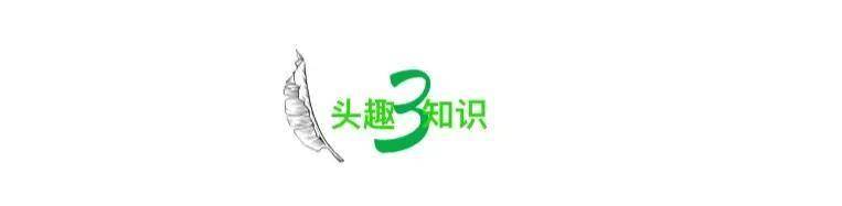 借住亲戚家：是享受便利还是破坏情谊？