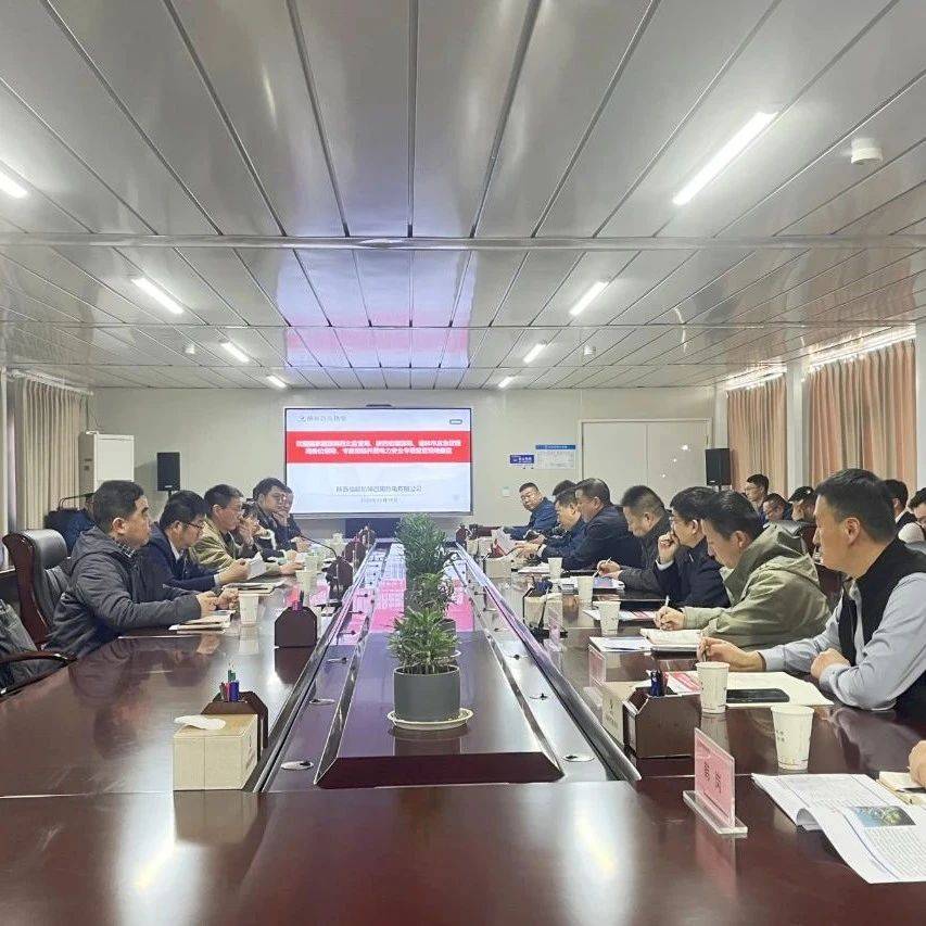 联合检查组到集团所属电力企业开展电力安全专项监管现场督查_生产_管理_建设