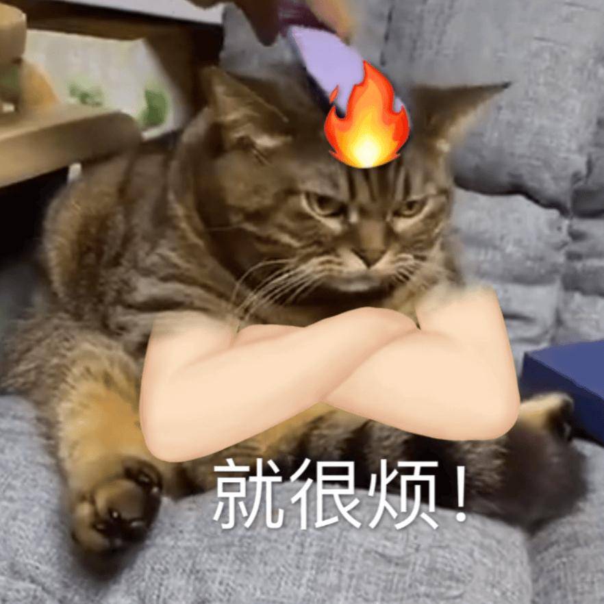 油痘肌救星！Q+A苹果酸面膜实力逆袭！