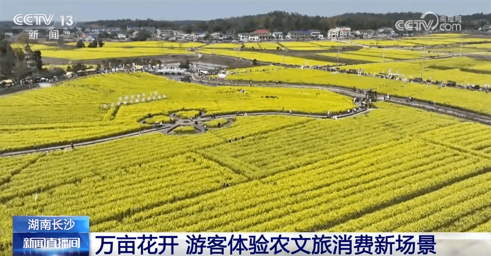 各地积极打造“赏花+”农文旅消费新场景 春日经济“花”样缤纷活力迸发