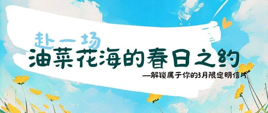 赴一场汉中油菜花海的春日之约_洋县_part_城固