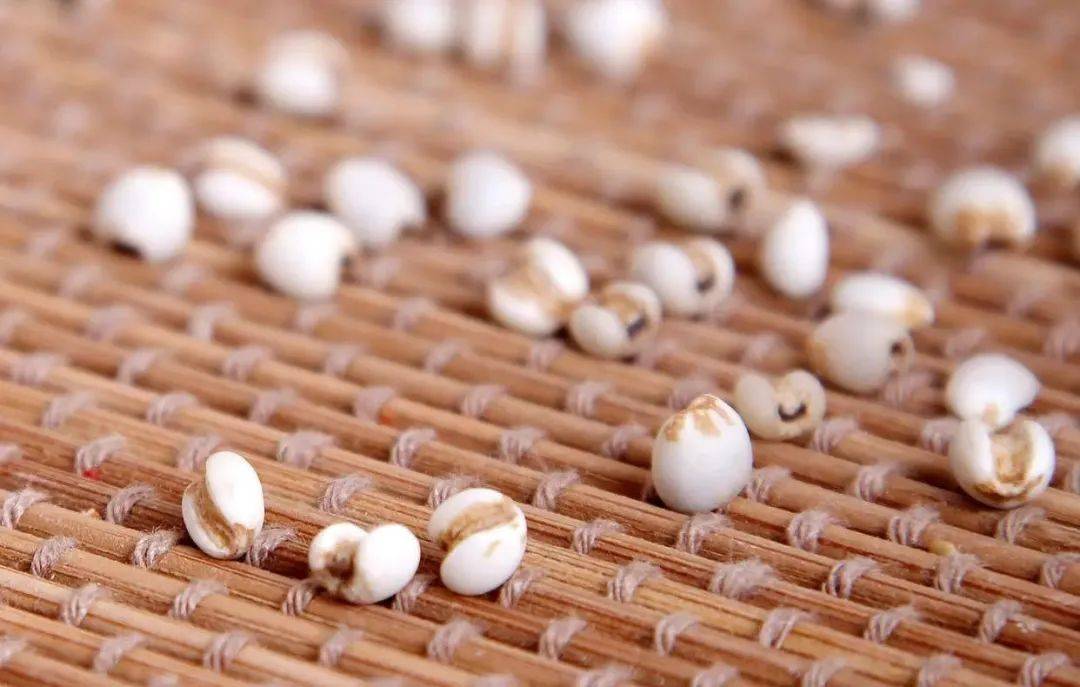 养脾胃新抉择：6种真正养胃食品，离别枯燥白粥
