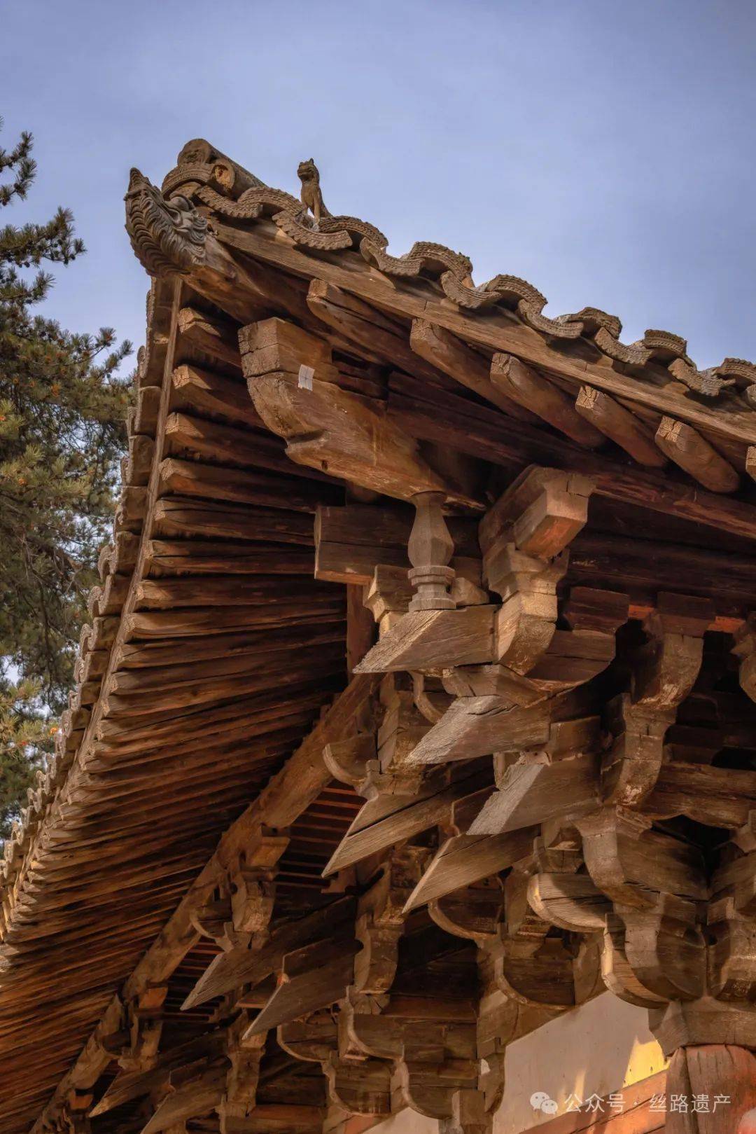 "3.45座"现存唐代木建筑的"含唐量"