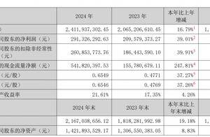 劲仔食品2024年净利增长39%，副总刘特元年薪157万元是董事长两倍多