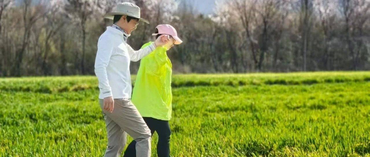 春季 请以“慢动”为主题_活动_踏青_关节