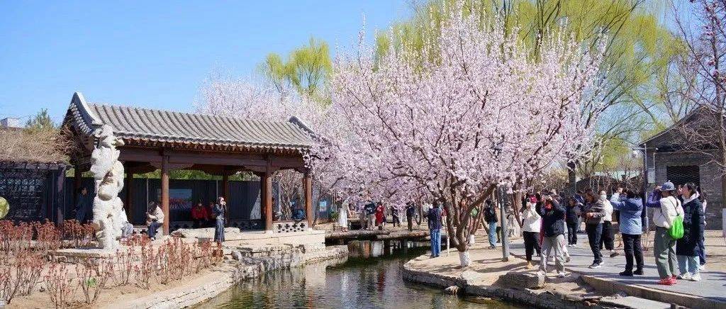 爆火！北京“顶流”Citywalk线路来了！_大观楼_电影节_中国