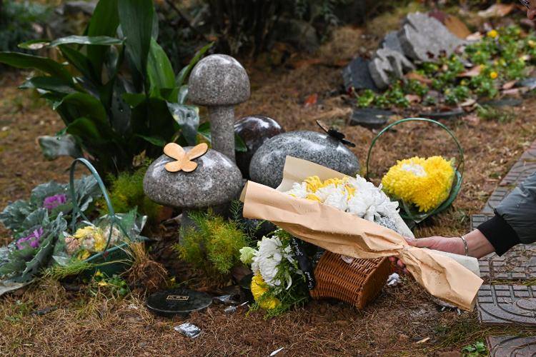 海葬、树葬、花坛葬……生态安葬正在从“可选项”变成“优选项”_骨灰_逝者_方式