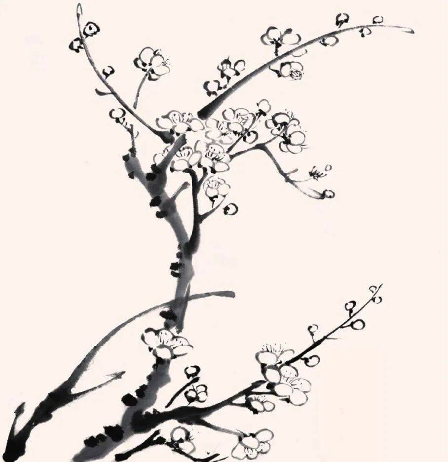 中国写意画入门轻松学:红梅,白梅画法