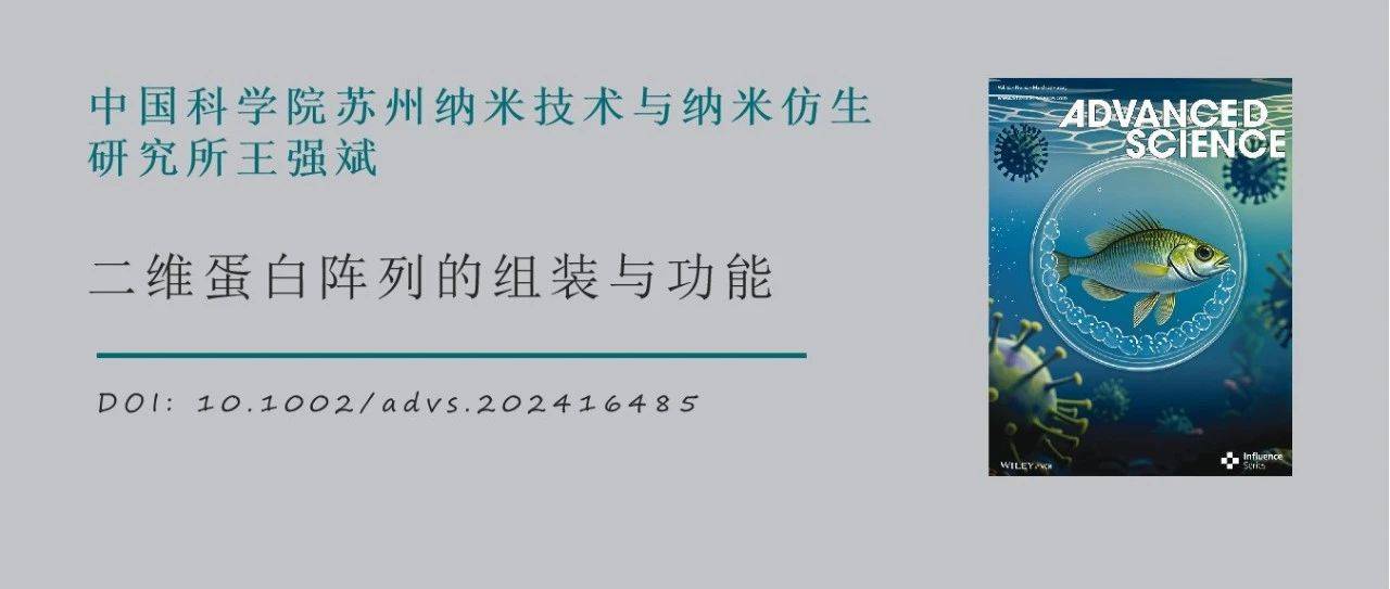 中国科学院苏州纳米技术与纳米仿生研究所王强斌AS：二维蛋白阵列的组装与功能_Fanmeng_结构