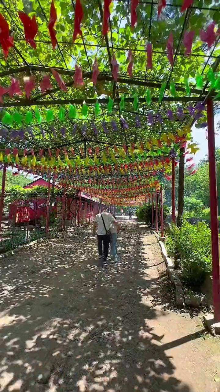 长春周边,市里开车20多分钟,南林小院,休闲娱乐吃农家菜的好去处!